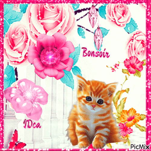 Bonsoir  les  chatons - Bezmaksas animēts GIF
