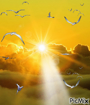 Zalazak sunca - Безплатен анимиран GIF