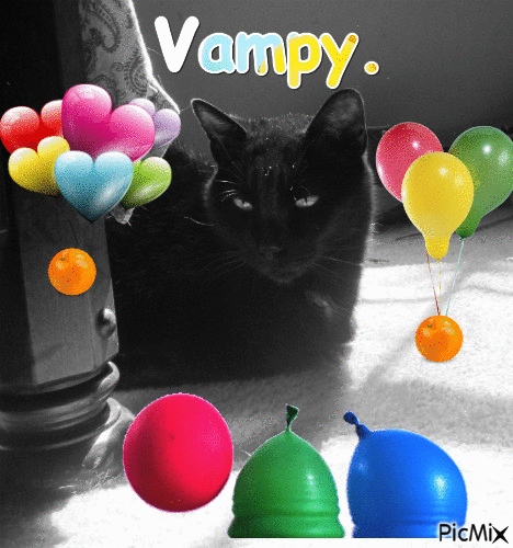 vampy fun. - GIF animé gratuit