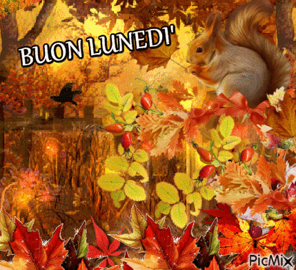 BUON LUNEDI' - Free animated GIF