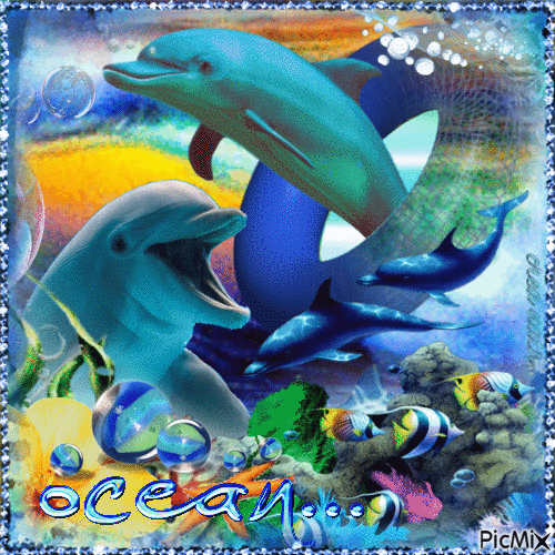dauphins - GIF animate gratis