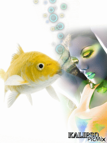 Gold  Fish.. - 無料のアニメーション GIF