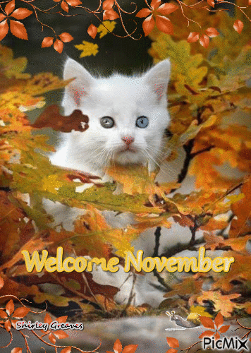 Goodbye October, welcome November - GIF animate gratis