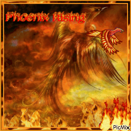 Rise of the Phoenix - Бесплатный анимированный гифка