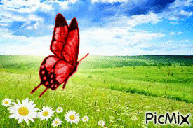 papillon 1 - 免费动画 GIF