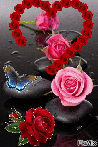 roses galets - Bezmaksas animēts GIF