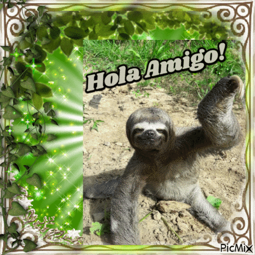 Hola Amigo Sloth - Gratis geanimeerde GIF