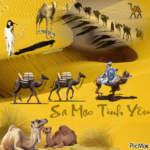 Sa mạc Tình yêu - GIF animado grátis