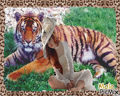 Tigar - 無料のアニメーション GIF