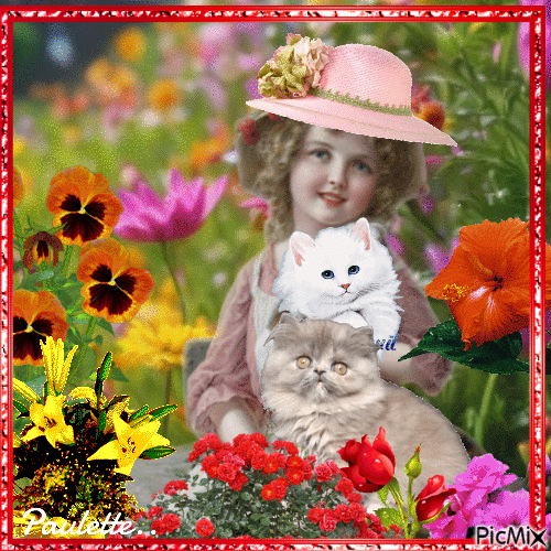 fillette et son chat blanc - Ingyenes animált GIF