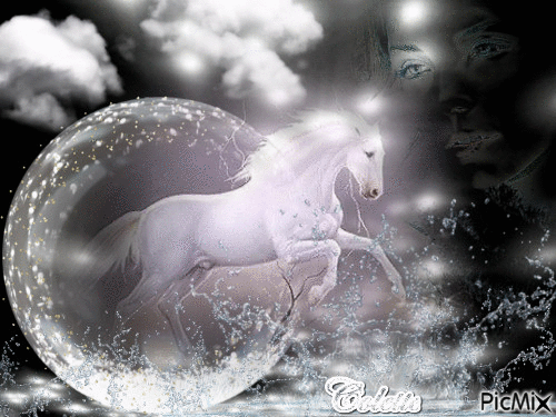 cheval blanc - Бесплатный анимированный гифка