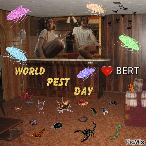 World pest day Bert - GIF เคลื่อนไหวฟรี