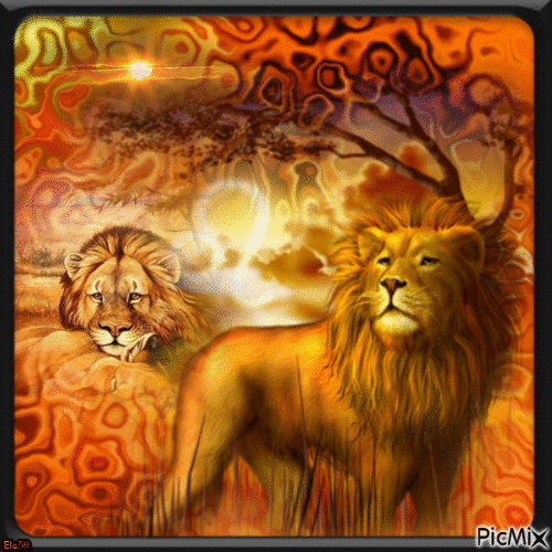 Lion - GIF animé gratuit
