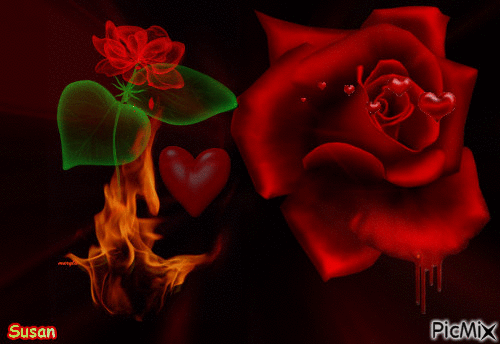 romantica rosa - Besplatni animirani GIF