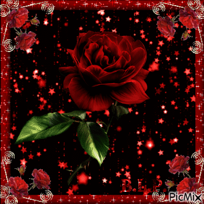 ROSE RED - Free animated GIF