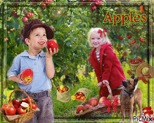 Apples - GIF animado gratis