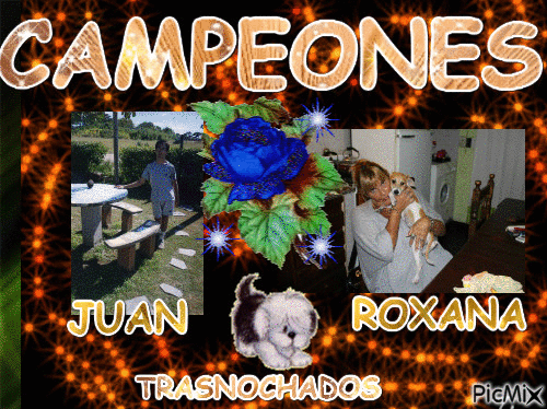 CAMPEONES - Free animated GIF