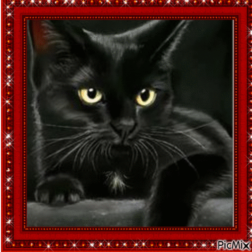 Portrait de Chat noir - GIF animé gratuit
