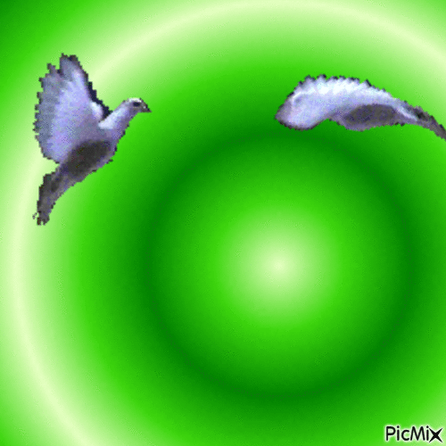 Les oiseaux - GIF animasi gratis