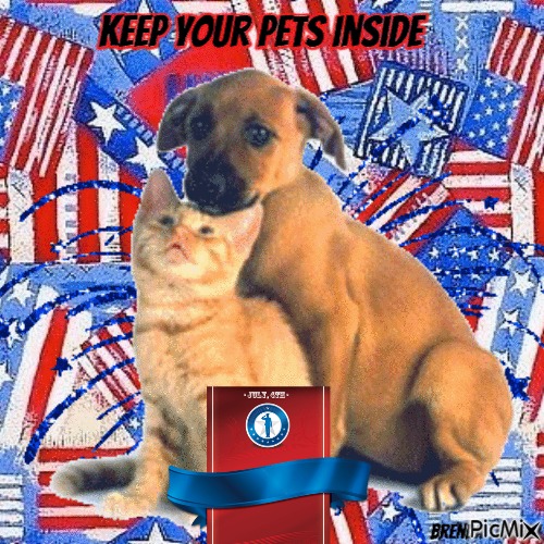 fourth of July pets - zadarmo png
