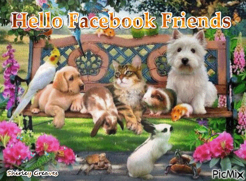 Hello Facebook Friends - Ilmainen animoitu GIF