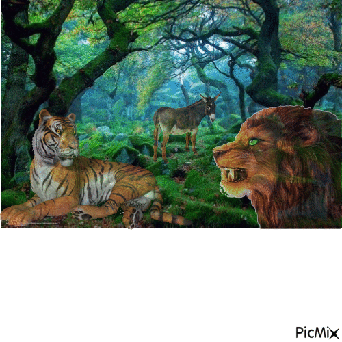 fabula tigre y burro - GIF animé gratuit