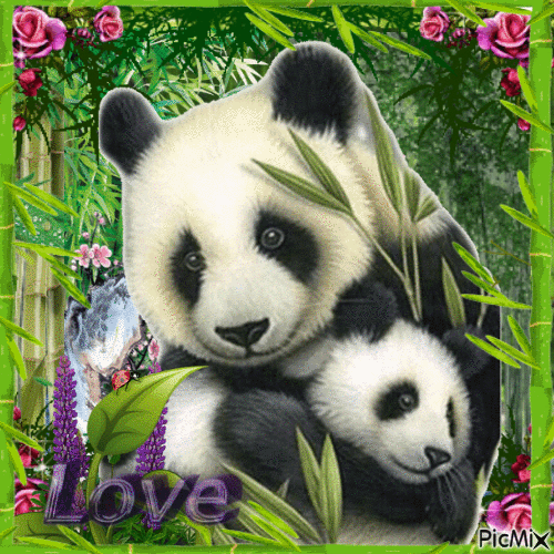 Maman panda et son bébé - 無料のアニメーション GIF