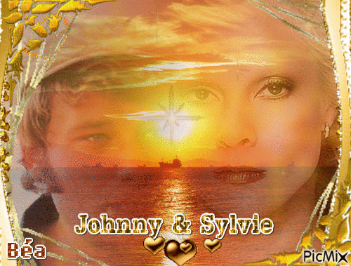 Fan de Johnny et Sylvie - Бесплатный анимированный гифка