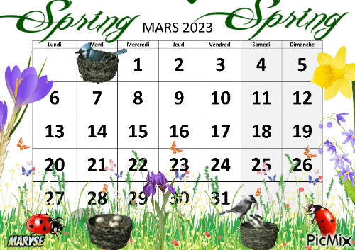 spring - Бесплатный анимированный гифка