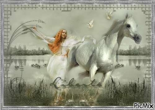 Le cheval de mes rêves - GIF animé gratuit