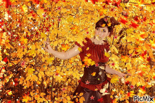 autumn - 無料のアニメーション GIF