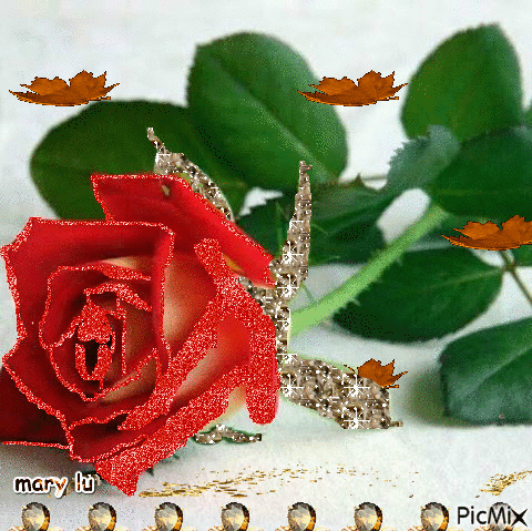 beauty rose - Gratis animeret GIF
