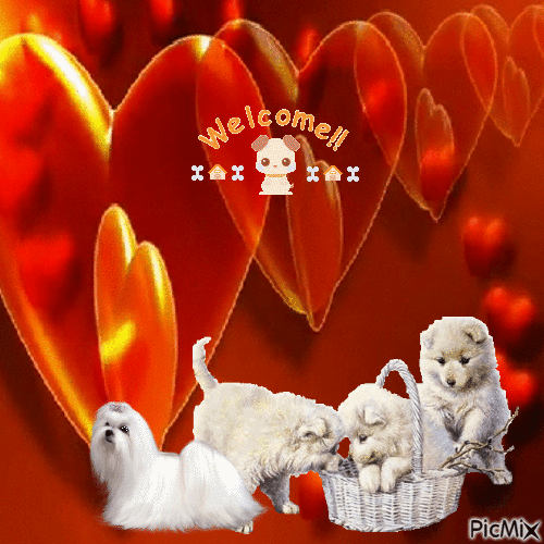 Welcome puppy!! - GIF animate gratis