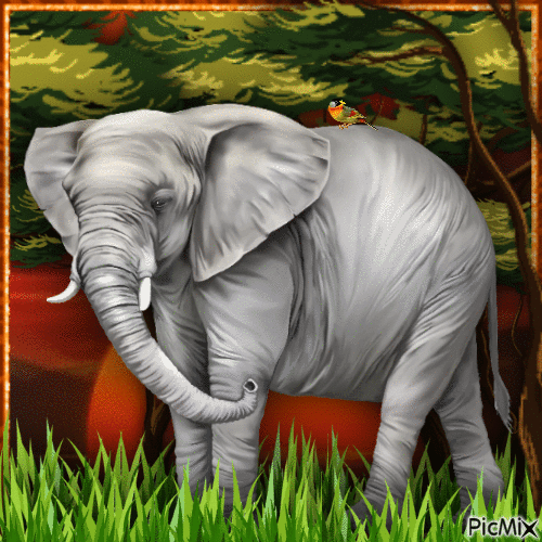 Elephant-RM-06-04-23 - GIF animado gratis