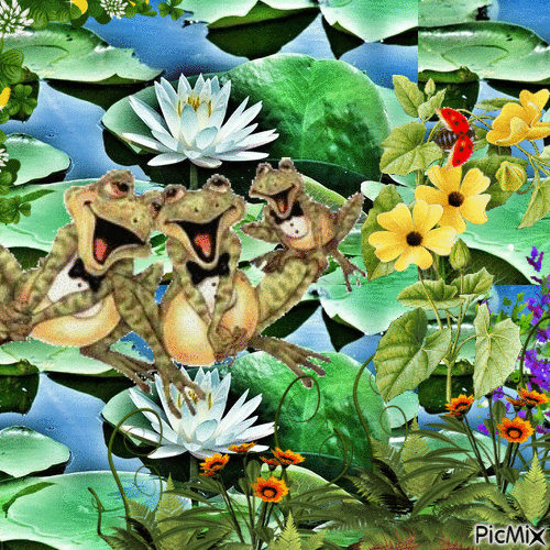 Grenouille drôle - Free animated GIF