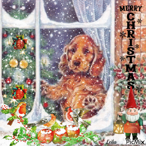 Merry Christmas. Dog in the window - Gratis animeret GIF