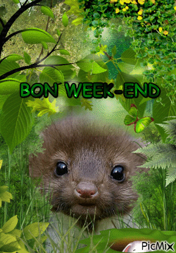 BON WEEK-END - 無料のアニメーション GIF