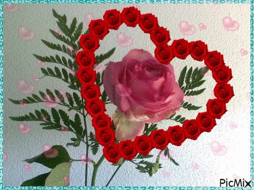 carte coeur de rose - Gratis animerad GIF