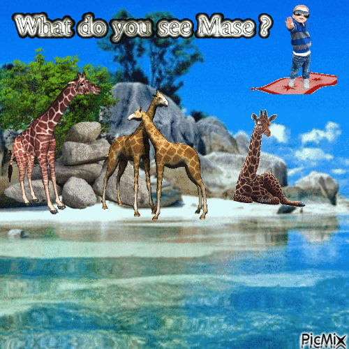 Mase giraffe - GIF animé gratuit
