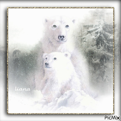 polar bears... - Бесплатни анимирани ГИФ
