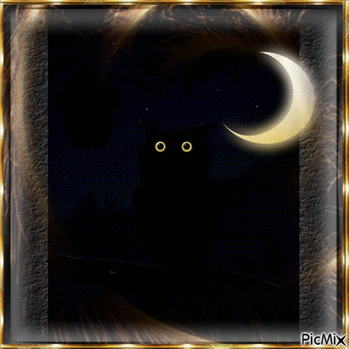 Good Night - Darmowy animowany GIF