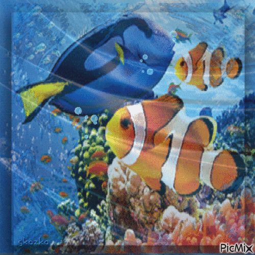 Красота подводного мира - GIF เคลื่อนไหวฟรี