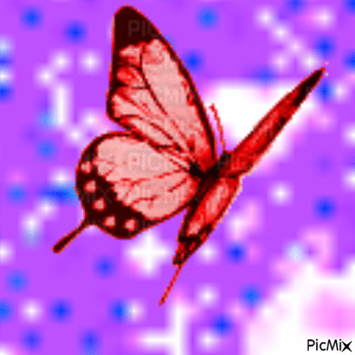 Papillon - Zdarma animovaný GIF