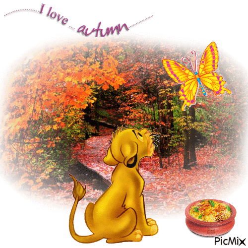 I Love The Illinois Autumn - GIF animé gratuit