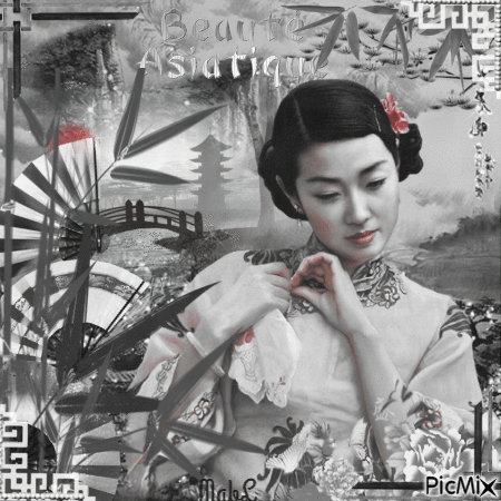 Portrait Asiatique en Noir et Blanc - Free animated GIF