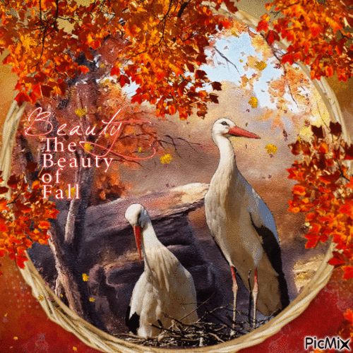birds in autumn - Gratis animeret GIF