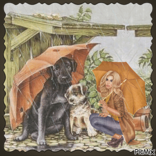 Person im Regen mit Hund - Ücretsiz animasyonlu GIF