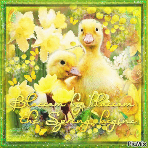 Spring duck yellow green - Animovaný GIF zadarmo