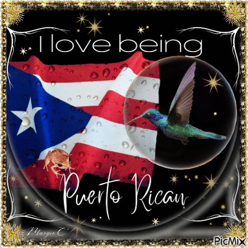 I love being Puerto Rican - Animovaný GIF zadarmo
