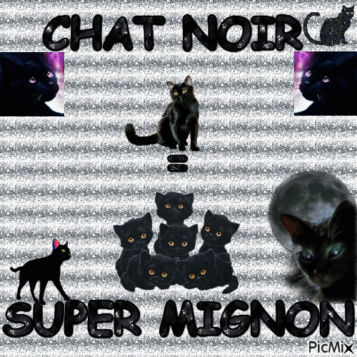 Chat Noir - Darmowy animowany GIF